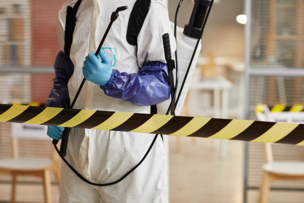 Professional Biohazard technician working in Mina, NV
