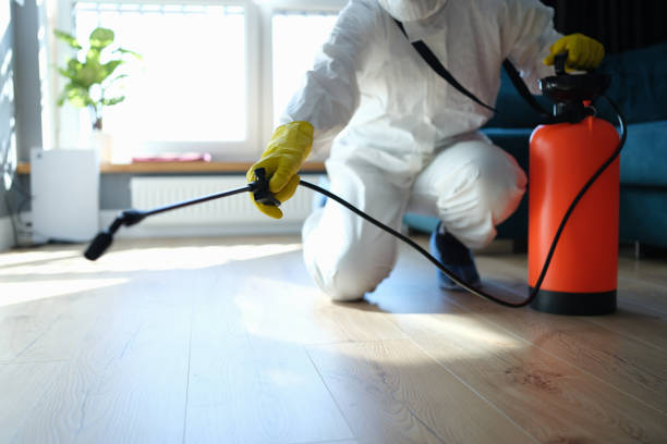 Reliable Biohazard contractor in Mina, NV by Dulley Family Biohazard Services
